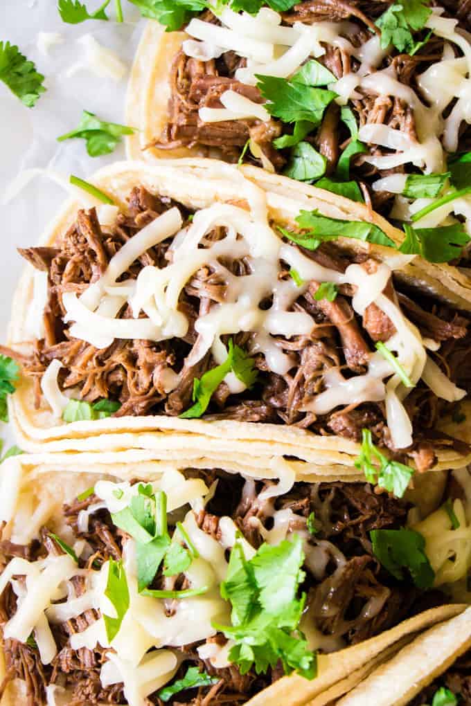 Sweet Barbacoa loaded up in corn tortillas, topped with melty jack cheese and chopped cilantro.