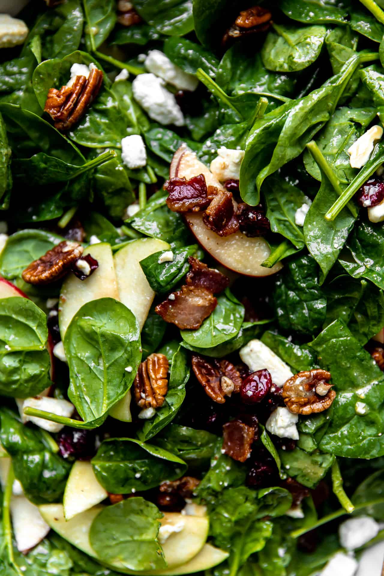 Close up view of salad layered with fresh apples, cranberries, pecans and feta.