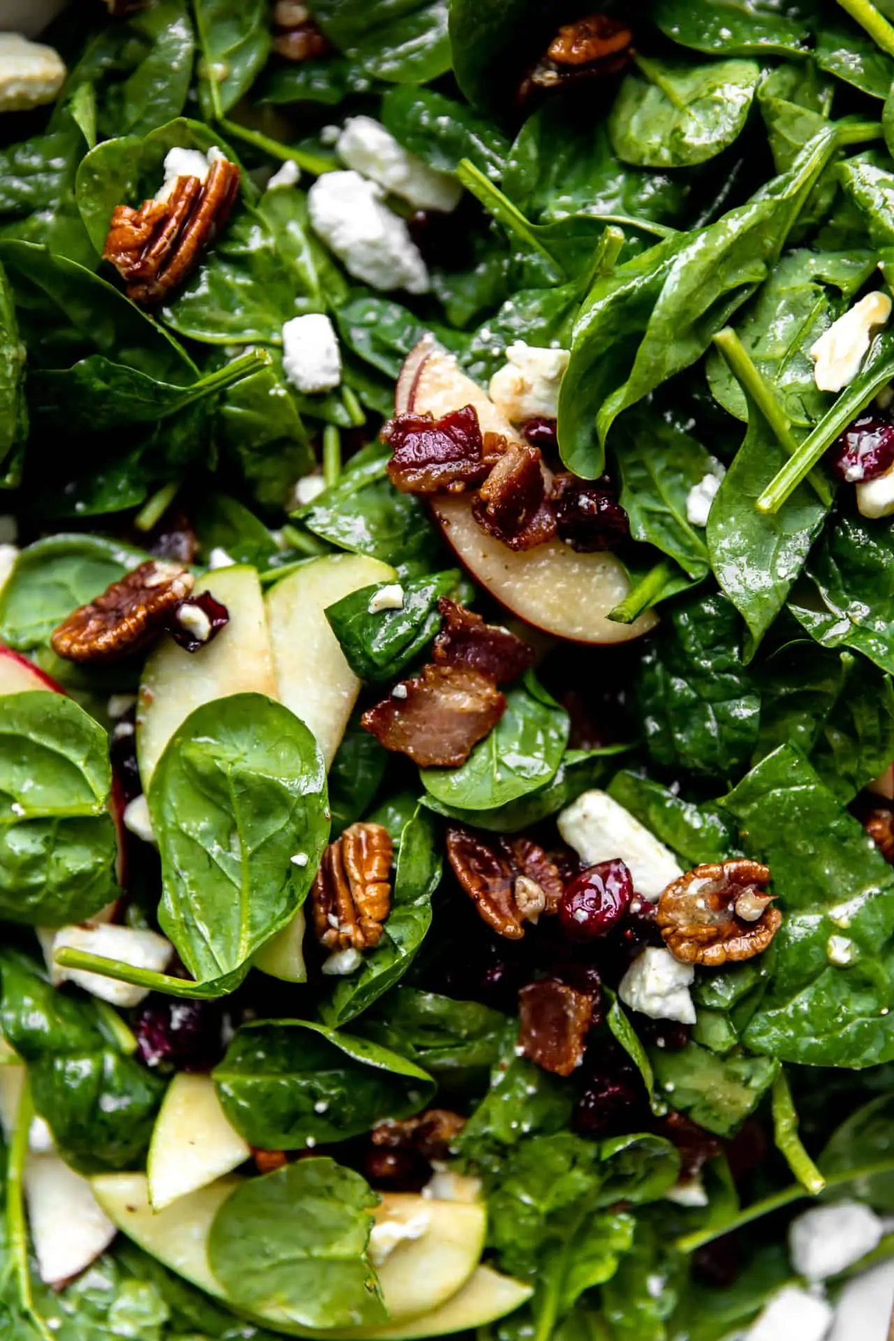 Close up view of salad layered with fresh apples, cranberries, pecans and feta.