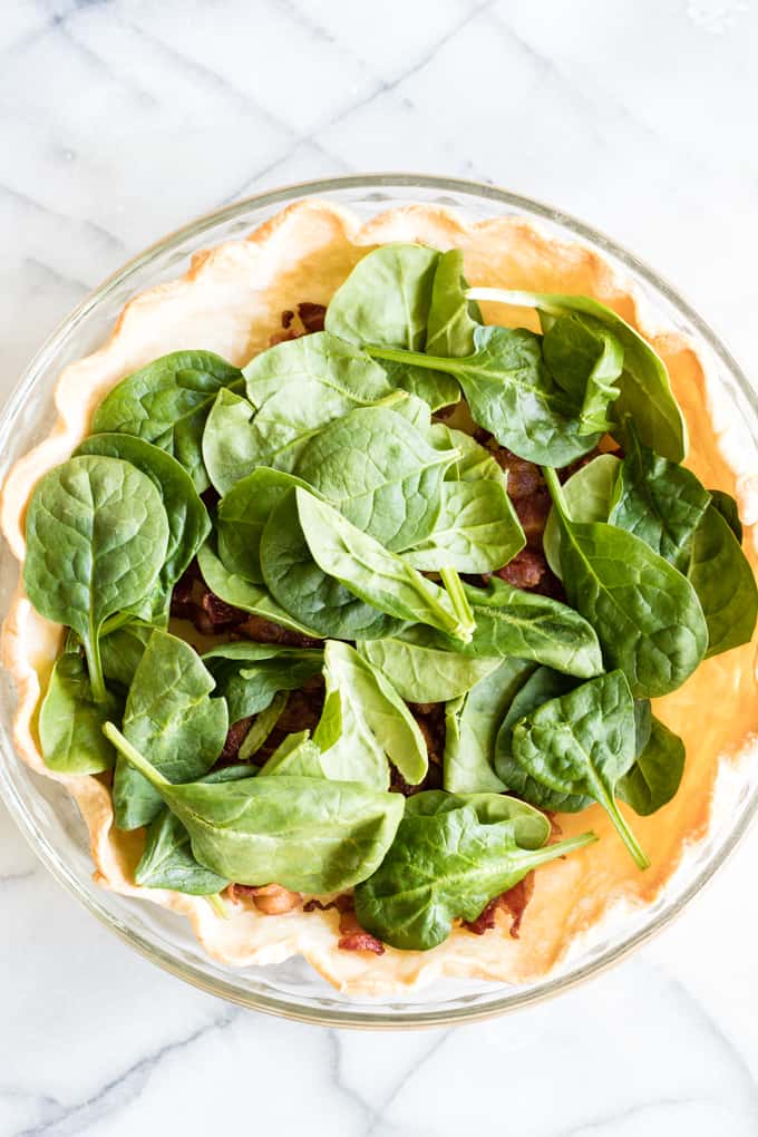 Pie crust with spianch, tomato, and goat cheese. 
