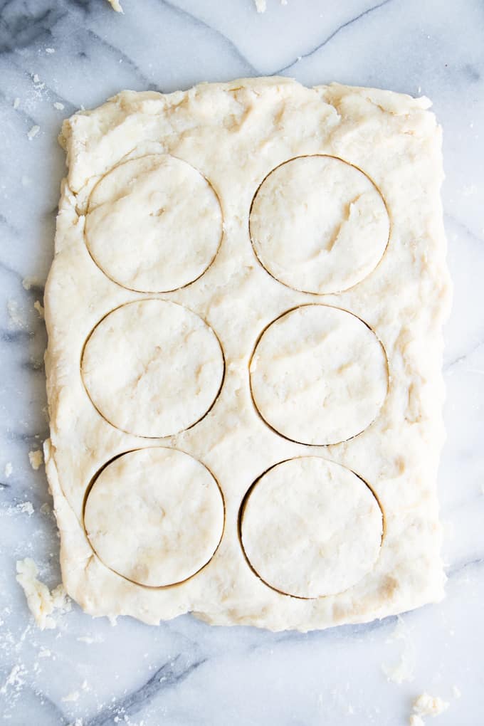 Overhead image showing circle cuts in biscuit dough.