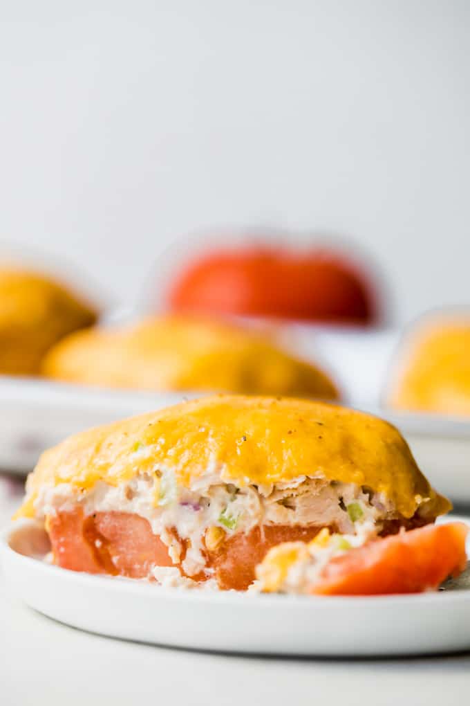 Straight on view of tomato tuna melt cut into showing layers of tomato, tuna, and melted cheese.