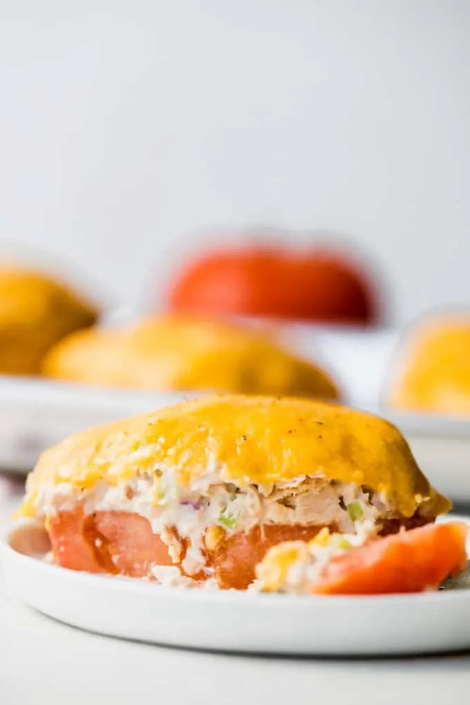 Straight on view of tomato tuna melt cut into showing layers of tomato, tuna, and melted cheese.