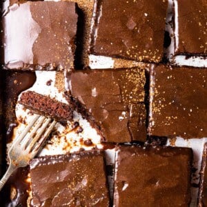 Overhead of Texas Sheet Cake with a smooth fudge like frosting.