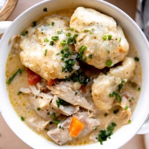 Bowl of chicken and dumplings topped with fresh chives.