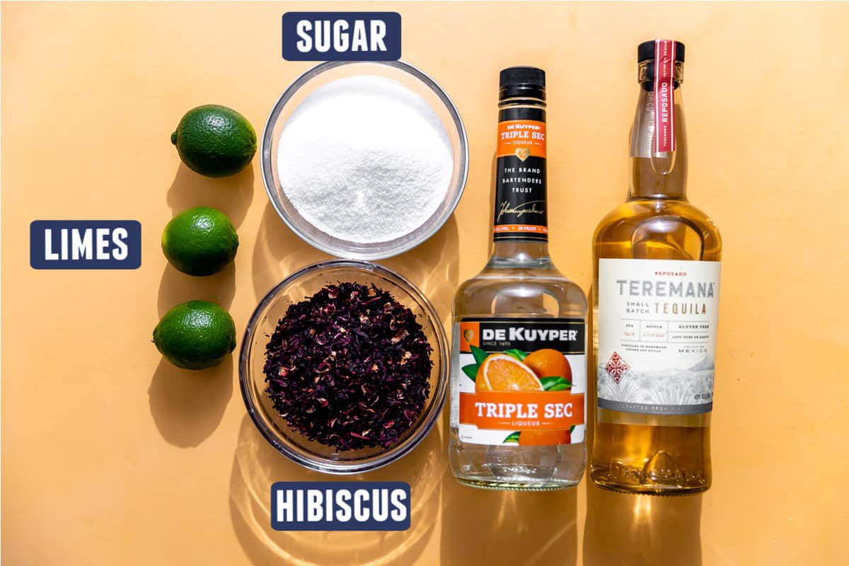 Ingredients needed to make hibiscus margaritas laid out on the counter.