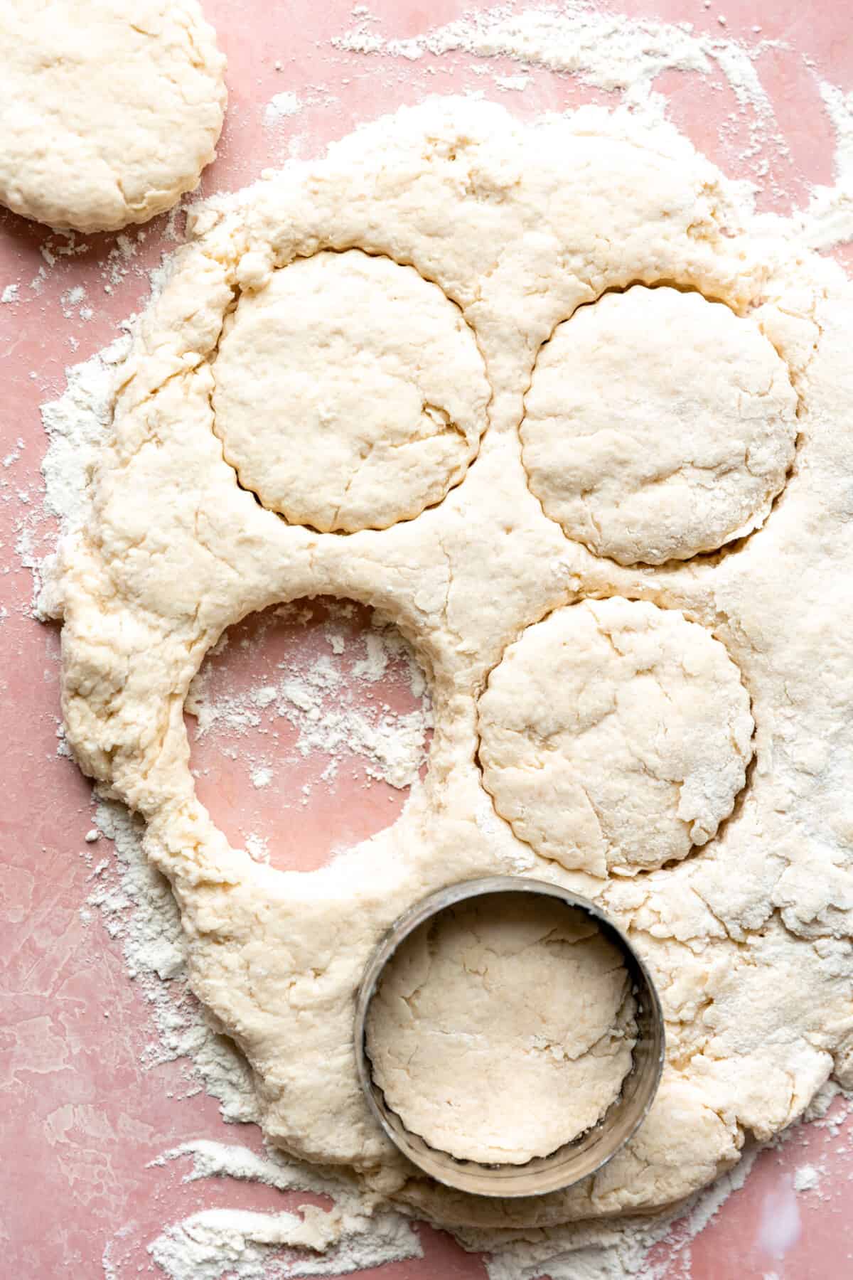 Biscuit dough pressed out and being cut with a scalloped biscuit cutter.