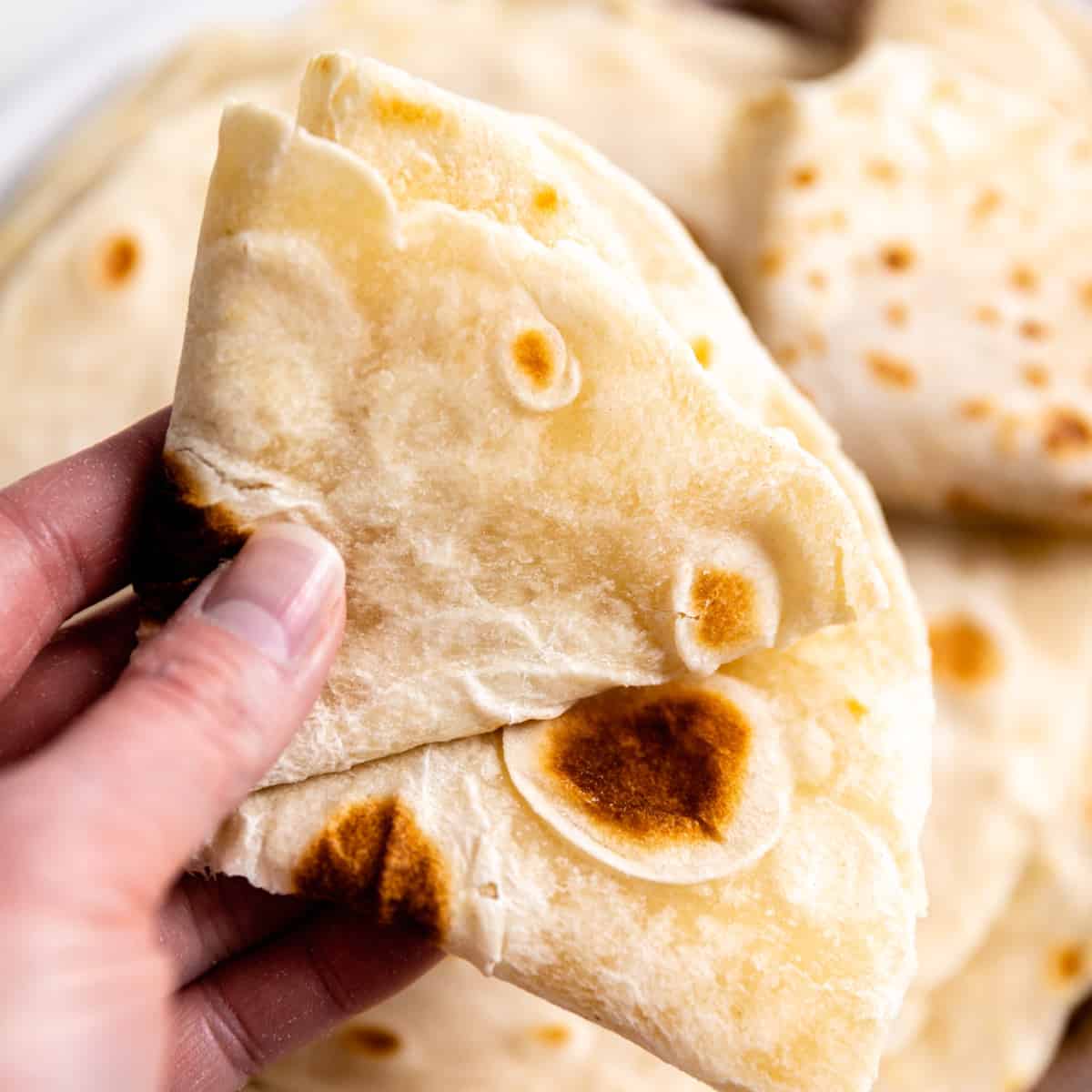 Hand holding a folded flour tortilla. 