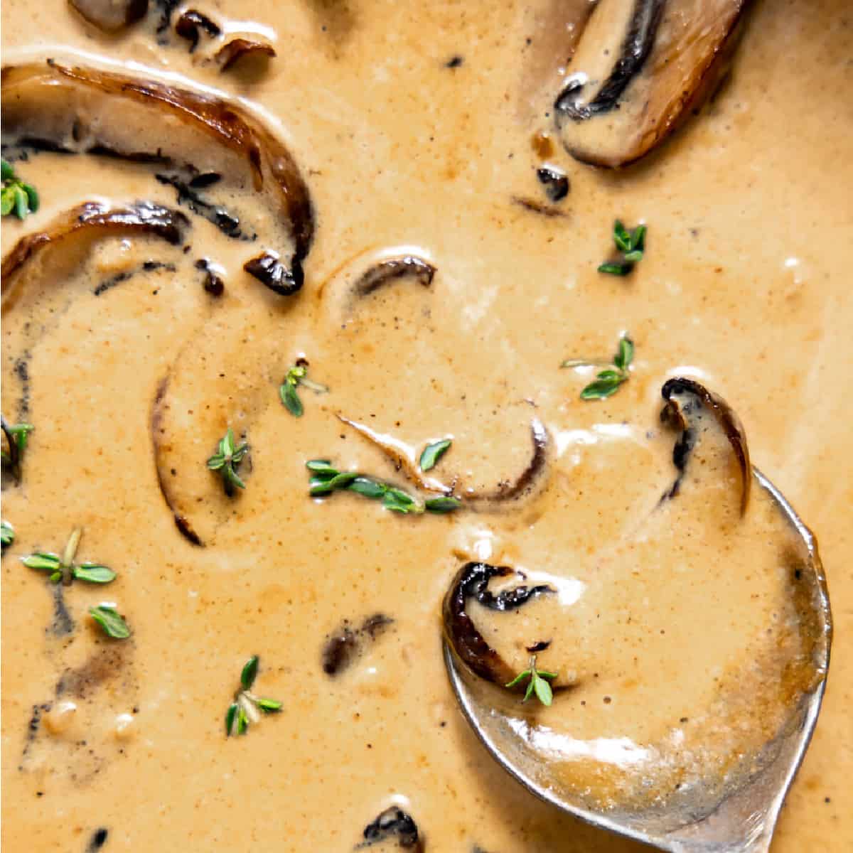 Spoon serving up mushroom sauce.