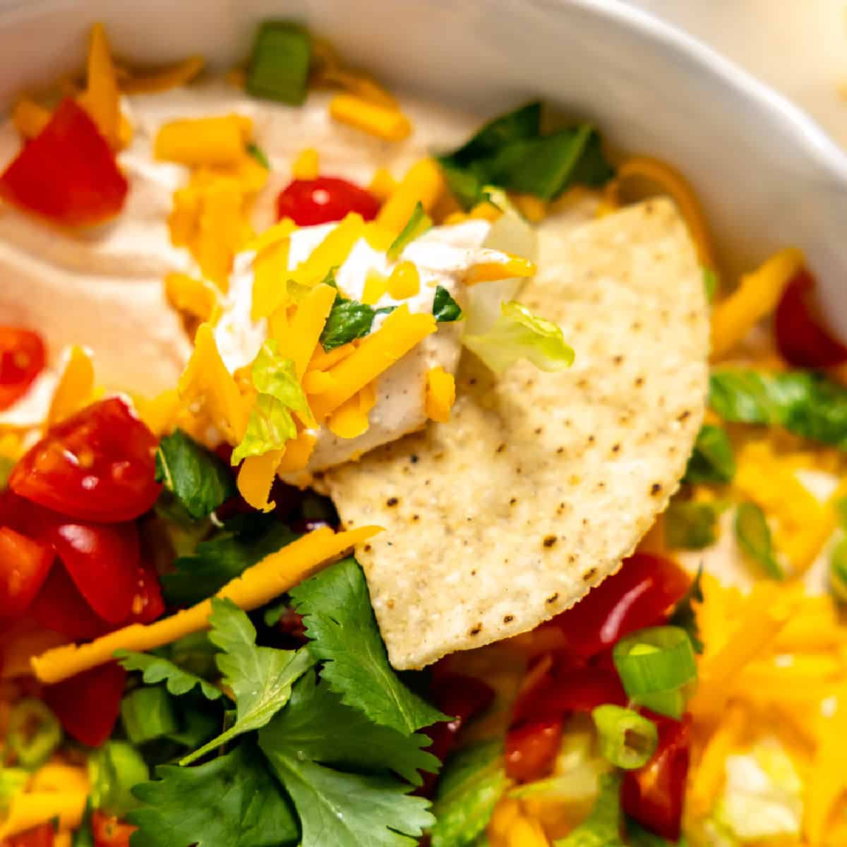 Tortilla chip scooping up taco dip.