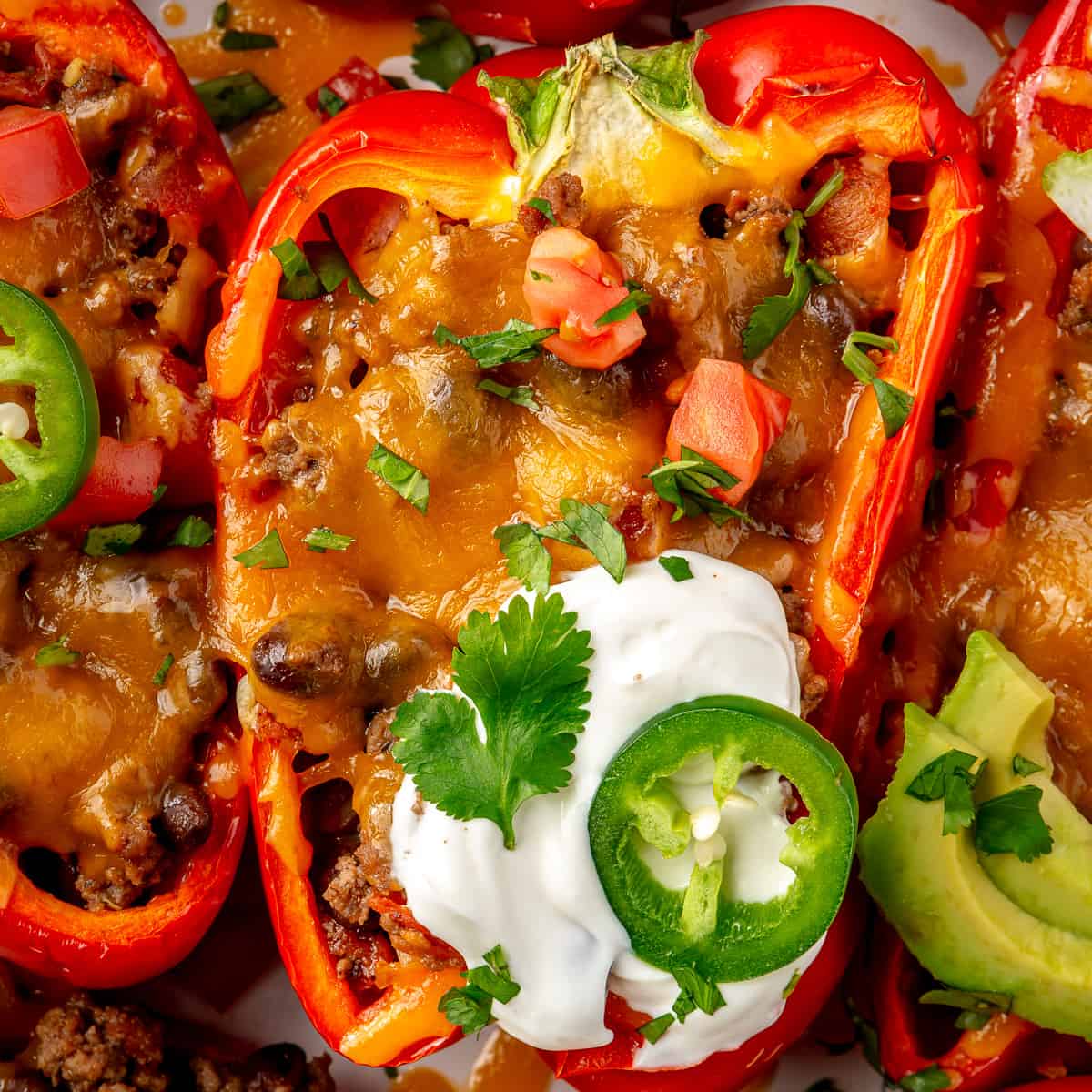 Taco stuffed pepper topped with sour cream and fresh cilantro. 