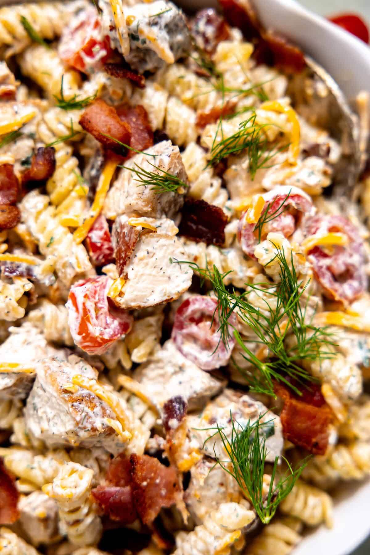 Up close of chicken bacon ranch pasta topped with chopped dill.